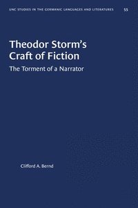 bokomslag Theodor Storm's Craft of Fiction