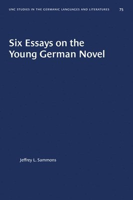 Six Essays on the Young German Novel 1