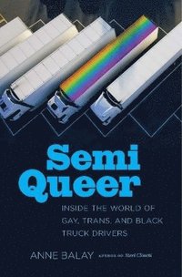 bokomslag Semi Queer