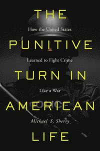 bokomslag The Punitive Turn in American Life