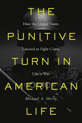 The Punitive Turn in American Life 1