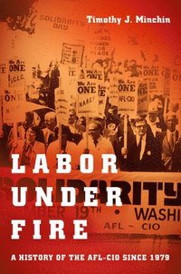 bokomslag Labor Under Fire
