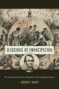 bokomslag Illusions of Emancipation
