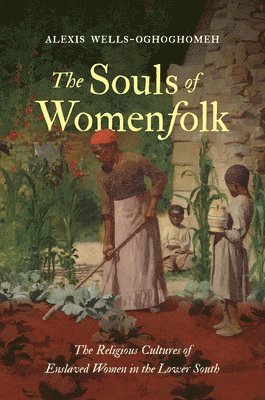 bokomslag The Souls of Womenfolk