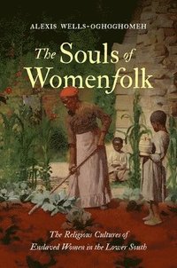 bokomslag The Souls of Womenfolk