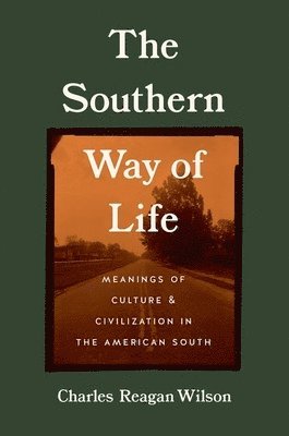 bokomslag Southern Way of Life