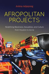 bokomslag Afropolitan Projects