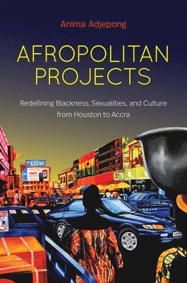 Afropolitan Projects 1