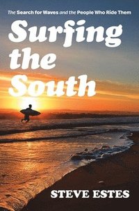 bokomslag Surfing the South