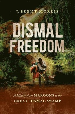 bokomslag Dismal Freedom