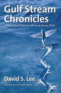 bokomslag Gulf Stream Chronicles