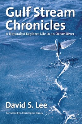Gulf Stream Chronicles 1