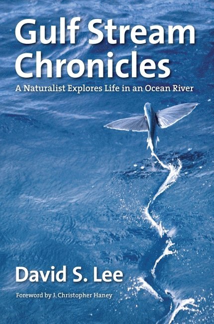 David S. Lee - Gulf Stream Chronicles, Häftad