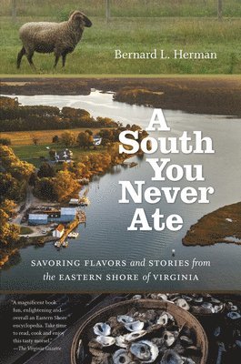 A South You Never Ate 1