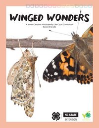 bokomslag Winged Wonders