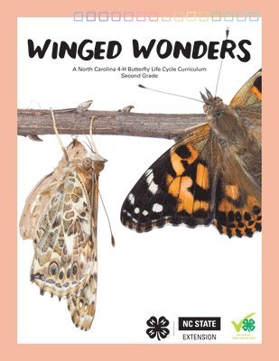 bokomslag Winged Wonders