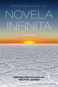bokomslag Pedro ngel Palou y la novela infinita