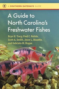 bokomslag A Guide to North Carolina's Freshwater Fishes