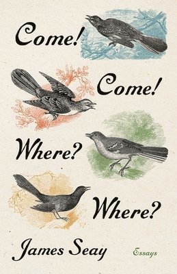 bokomslag Come! Come! Where? Where?