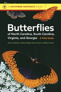 bokomslag Butterflies of North Carolina, South Carolina, Virginia, and Georgia