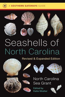 bokomslag Seashells of North Carolina