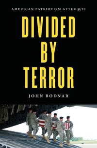 bokomslag Divided by Terror