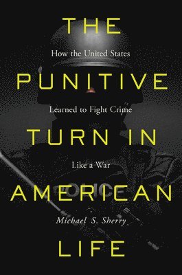 Punitive Turn in American Life
