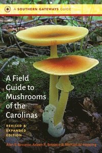 bokomslag A Field Guide to Mushrooms of the Carolinas