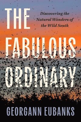 The Fabulous Ordinary 1