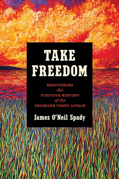 James O'Neil Spady - Take Freedom, Häftad