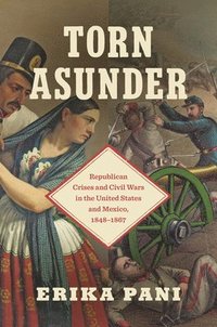 bokomslag Torn Asunder