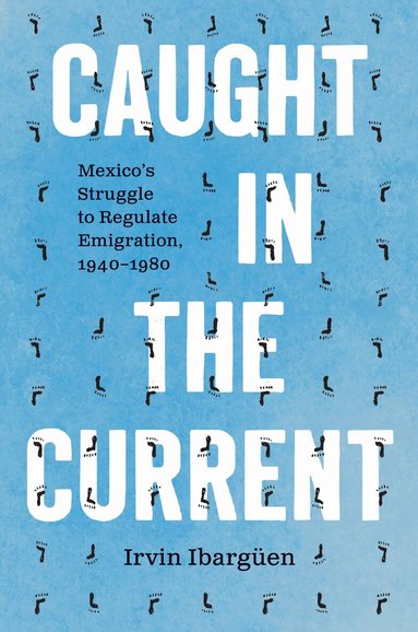 Irvin Ibargüen - Caught in the Current, Häftad