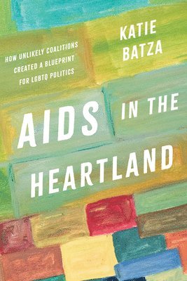 bokomslag AIDS in the Heartland