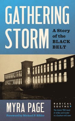 bokomslag Gathering Storm