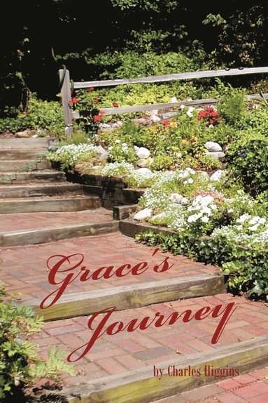 bokomslag Grace's Journey