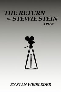 bokomslag Return of Stewie Stein