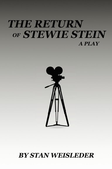 bokomslag Return of Stewie Stein