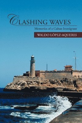 bokomslag Clashing Waves