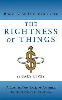 bokomslag The Rightness of Things