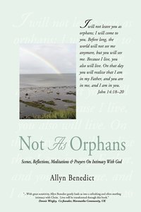 bokomslag Not As Orphans