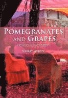 Pomegranates and Grapes 1