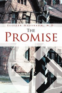 bokomslag Promise