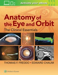 bokomslag Anatomy of the Eye and Orbit