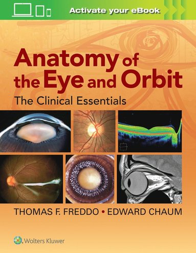 bokomslag Anatomy of the Eye and Orbit