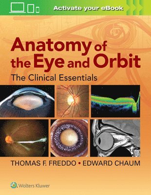 Anatomy of the Eye and Orbit 1