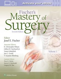 bokomslag Fischer's Mastery of Surgery