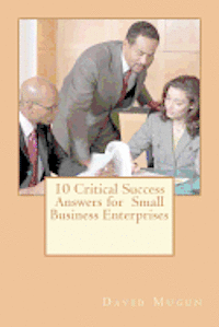 10 Critical Success Answers for Small Business Enterprise: No sub tittle 1