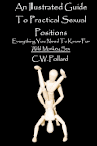 bokomslag An Illustrated Guide To Practical Sexual Positions: Everything You Need To Know