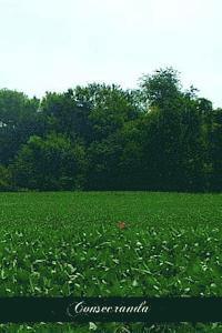 A. J. Schulte - Consecranda: Rites And Ceremonies Observed At The Consecration Of Churches, Altars, Altarstones, Chalices, and Patens, Häftad