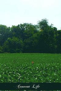 Convent Life: The Meaning Of A Religious Vocation